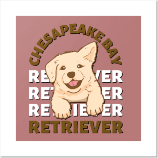 Cute Chesapeake Bay retriever Life is better with my dogs I love all the dogs Posters and Art